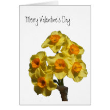 Scilly Valentine Card