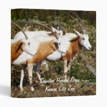 Scimitar Horned Oryx Binder