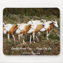 Scimitar Horned Oryx mousepad