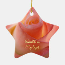 Scintillement dans mon oeil ! Le rose de rose orne