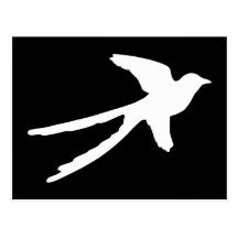 Scissortail Flycatcher Postcard