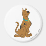 Scooby Doo Cuter Than Cute Pose 15 Refrigerator Magnets