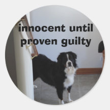 Scooby, innocent jusqu'à coupable prouvé adhésifs