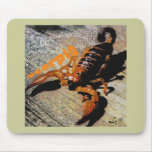 SCORPIO BY LIZ LOZ mousepads