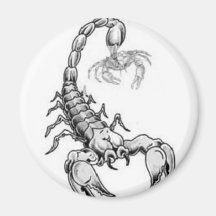 Scorpio Fighting Against Cancer Refrigerator Magnets
