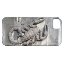 Scorpio iPhone 5 Case