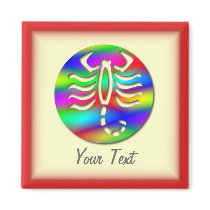 Scorpio Rainbow Colour Zodiac Scorpion Magnets