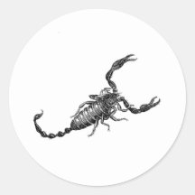 Scorpio Scorpion Sticker