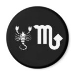 Scorpio with Symbol Magnet