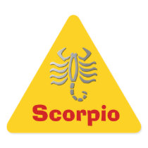 Scorpio Zodiac Star Sign In Light Silver