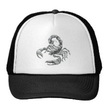 scorpion mesh hats