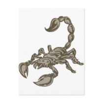 Scorpion Post Cards