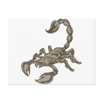 Scorpion Post Cards