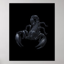 Scorpion Posters