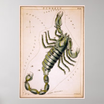 SCORPION SCORPIO CONSTELLATION  1825 POSTER