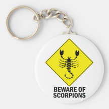 Scorpions Keychains