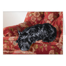 Scottie in a Big Red Chair Greeting Cards