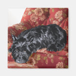 Scottie in a Big Red Chair Magnets