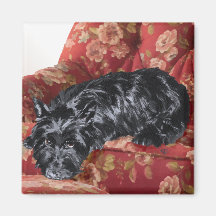 Scottie in a Big Red Chair Magnets