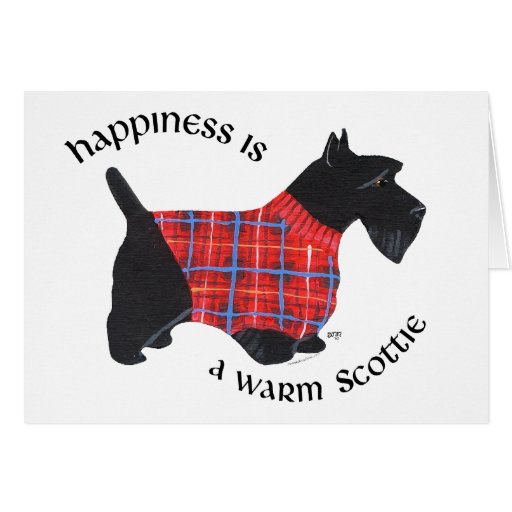 Scottie in Red & Blue Plaid Sweater Greeting Cards