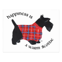 Scottie in Red & Blue Plaid Sweater Post Cards