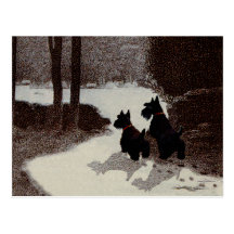 Scotties on Surreal Winter Night Postcards