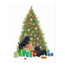 Scotties Sort the Christmas Gifts Post Cards