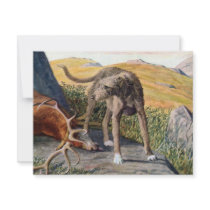 Scottish deerhound