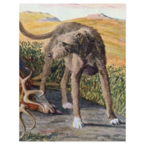 Scottish deerhound