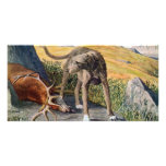 Scottish deerhound