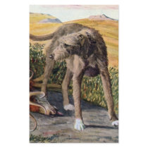 Scottish deerhound