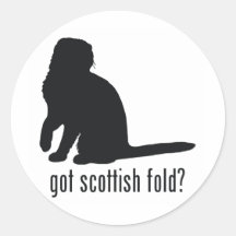 Scottish Fold Cat Round Sticker