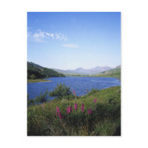 Scottish Loch Post Cards