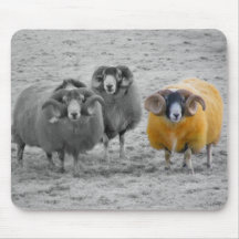 Scottish Rams Mousepad