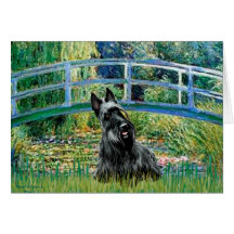 Scottish Terrier 3 - Bridge Greeting Cards