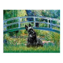 Scottish Terrier 3 - Bridge Postcard