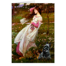 Scottish Terrier 3 - Windflowers Card