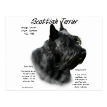Scottish Terrier (black) History Design Postcards