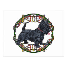 Scottish Terrier Celtic Knotwork Postcards
