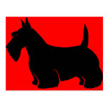Scottish Terrier Classic Silhouette Post Cards