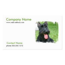 Scottish Terrier Dog Business Card