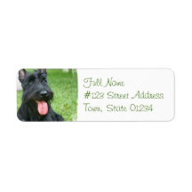Scottish Terrier Dog Return Address Label