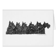 Scottish Terrier Gathering Greeting Cards
