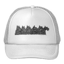 Scottish Terrier Gathering Mesh Hats