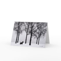 Scottish Terrier Greeting Card