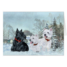 Scottish Terrier Greeting Card