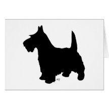 Scottish Terrier Greeting Card
