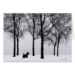 Scottish Terrier Greeting Card