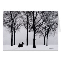 Scottish Terrier Greeting Card