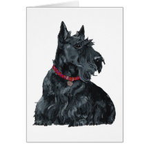 Scottish Terrier Greeting Card